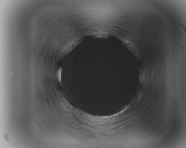 X0000100220047200806061355