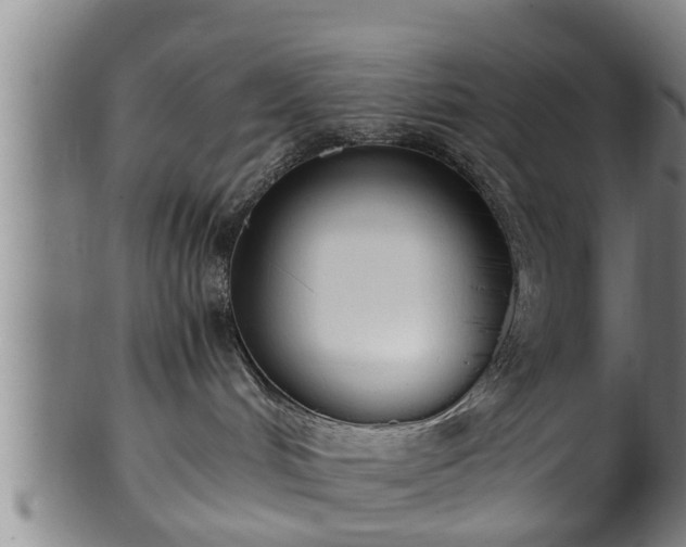 X0000100220048200806061355