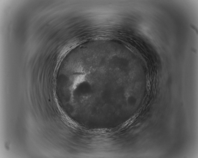 X0000100220049200806061354