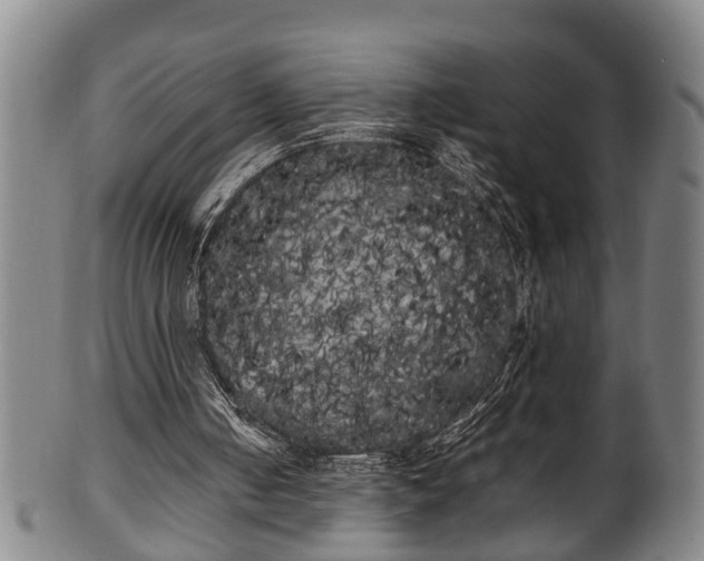 X0000100220050200806061354