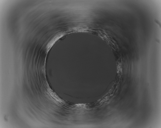 X0000100220052200806061354