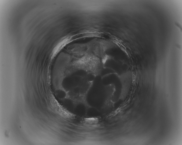 X0000100220053200806061354