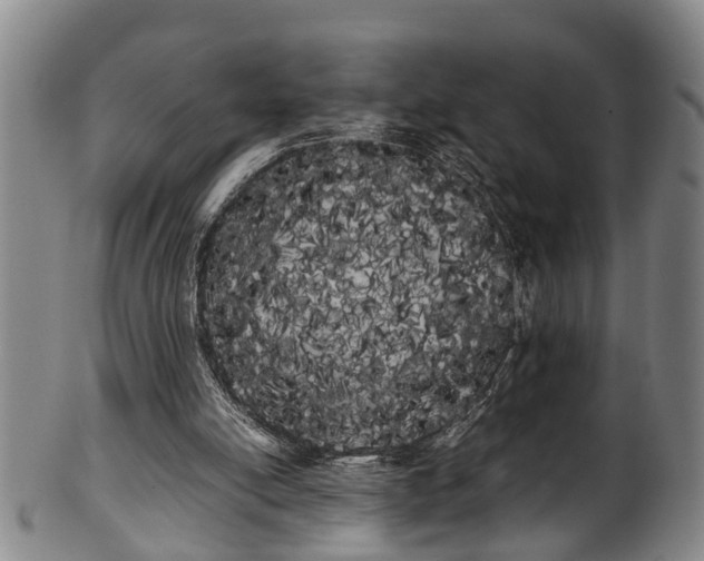 X0000100220054200806061354