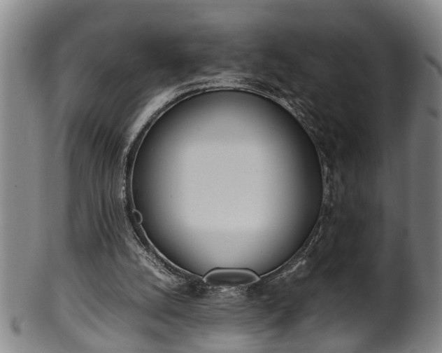 X0000100220056200806061354