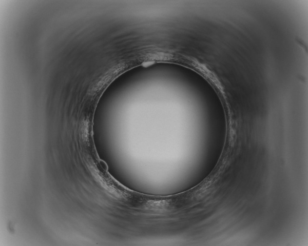 X0000100220057200806061354