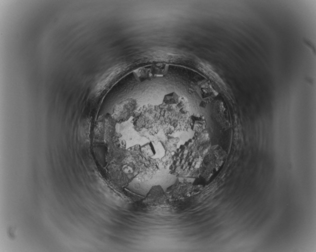 X0000100220058200806061355