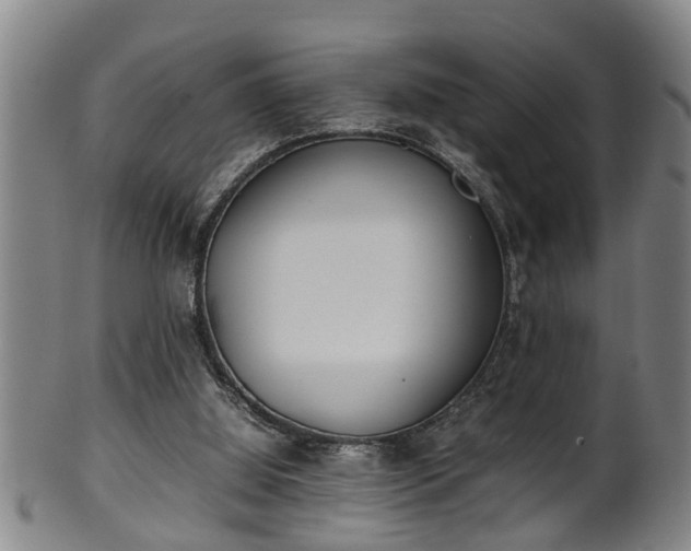 X0000100220060200806061355