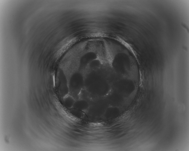 X0000100220061200806061355