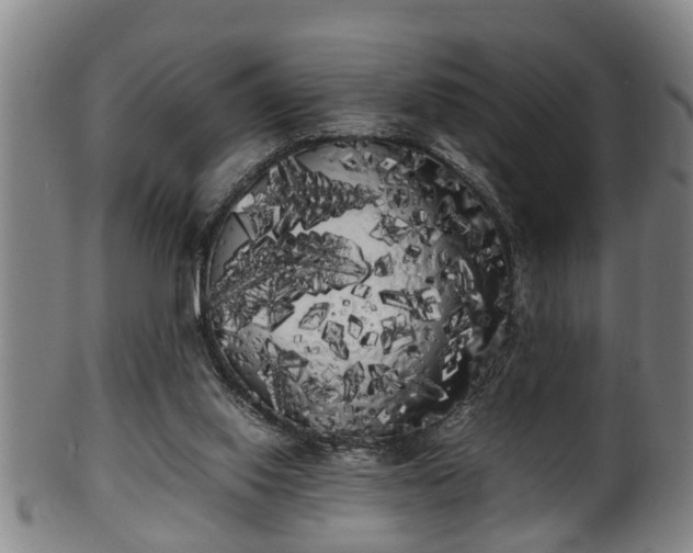 X0000100220062200806061355