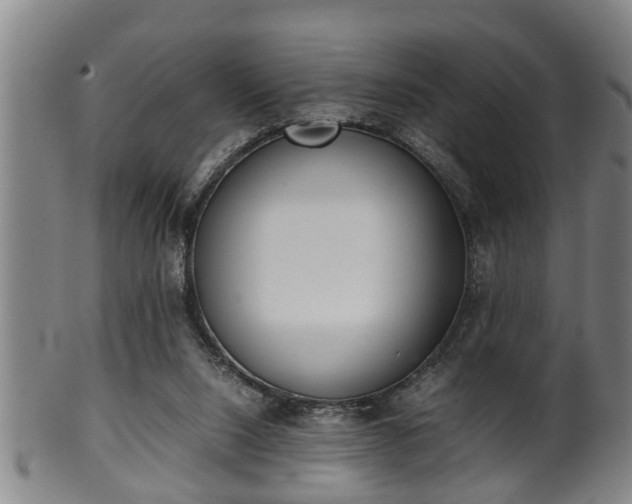 X0000100220064200806061355