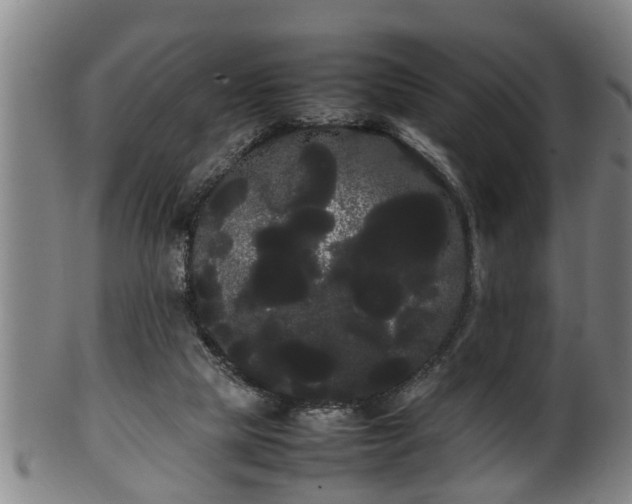 X0000100220065200806061355