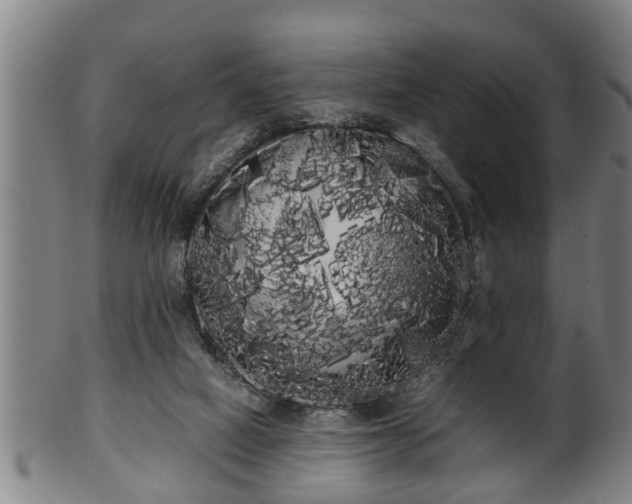 X0000100220066200806061355