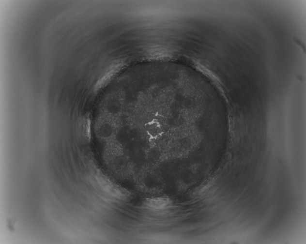 X0000100220067200806061355