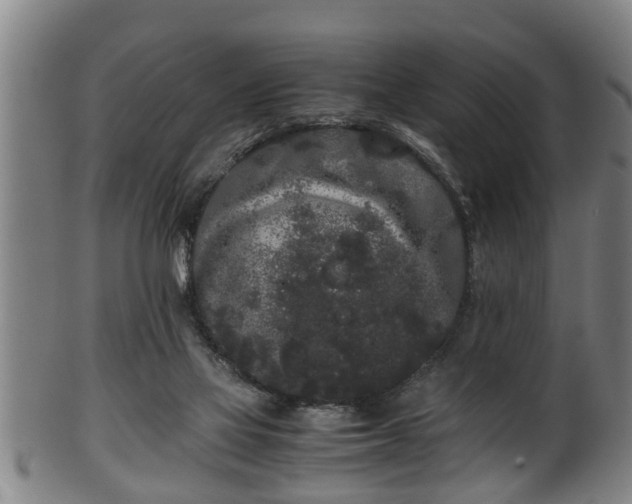 X0000100220069200806061355