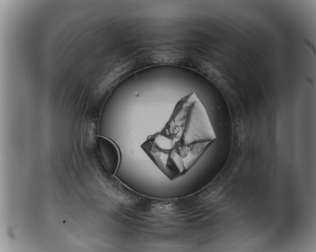 X0000100220071200806061355