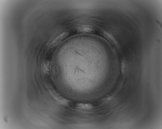 X0000100220073200806061355