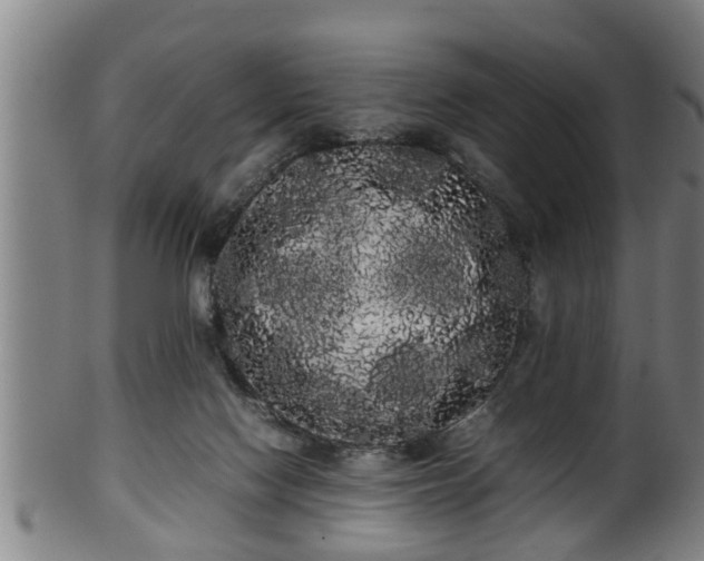 X0000100220074200806061355