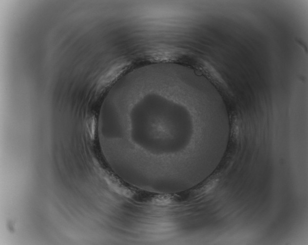 X0000100220076200806061355