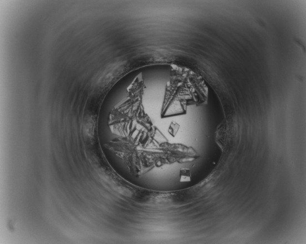 X0000100220078200806061355