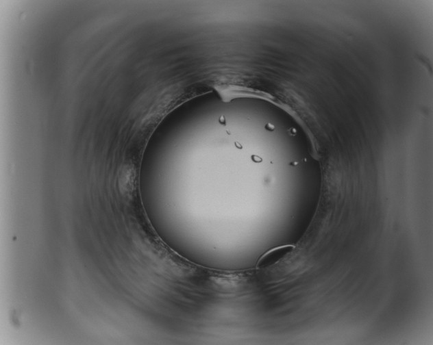 X0000100220079200806061355