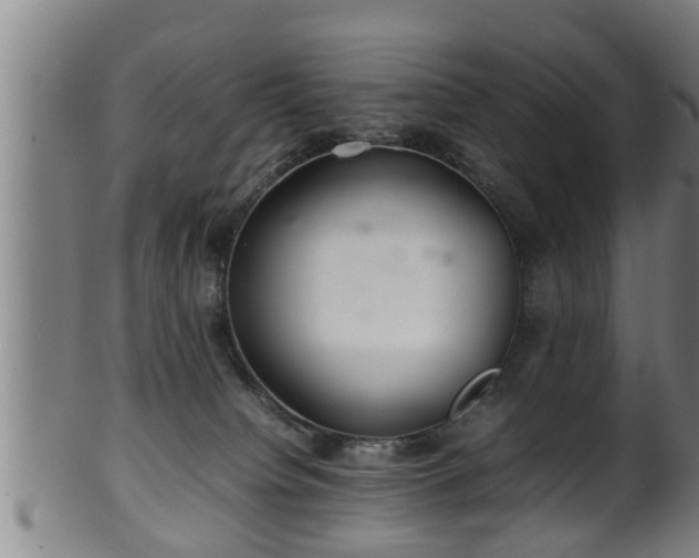 X0000100220084200806061355