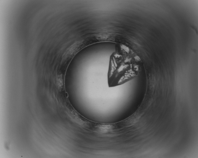 X0000100220085200806061355