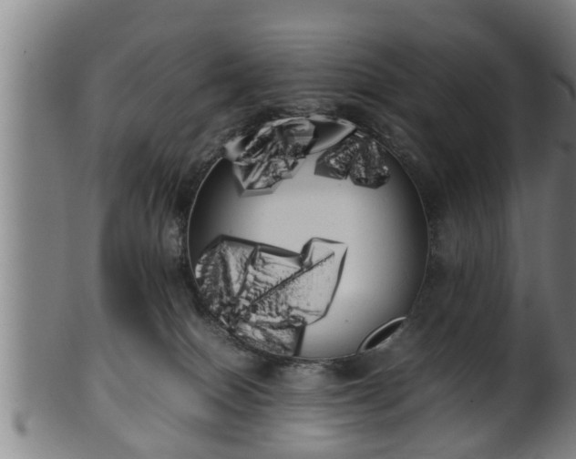 X0000100220086200806061355