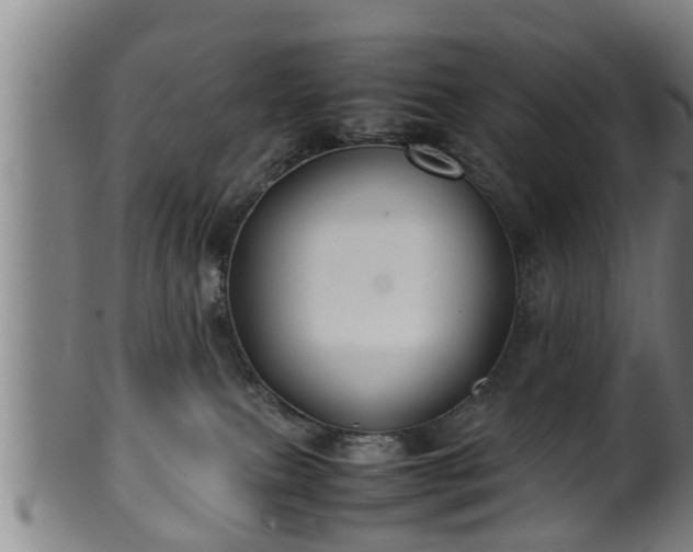 X0000100220087200806061355