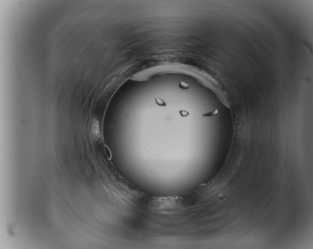 X0000100220089200806061355