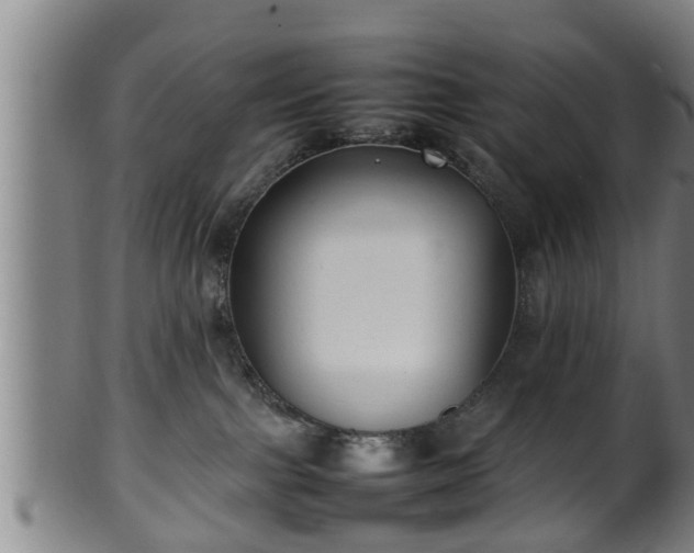 X0000100220091200806061355