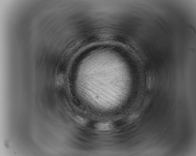 X0000100220093200806061355