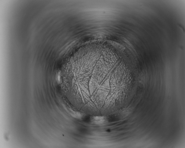 X0000100220095200806061355
