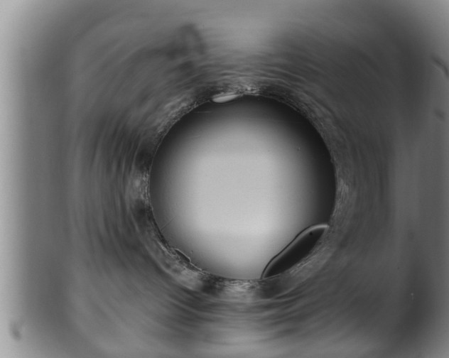 X0000100220096200806061355