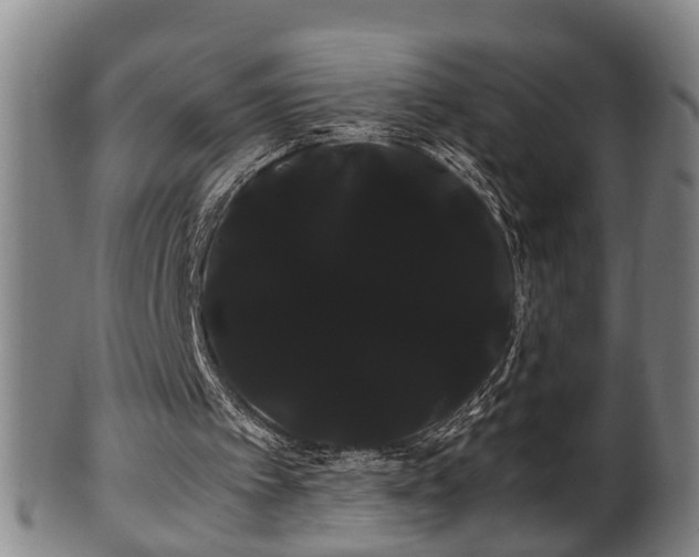 X0000100220097200806061354