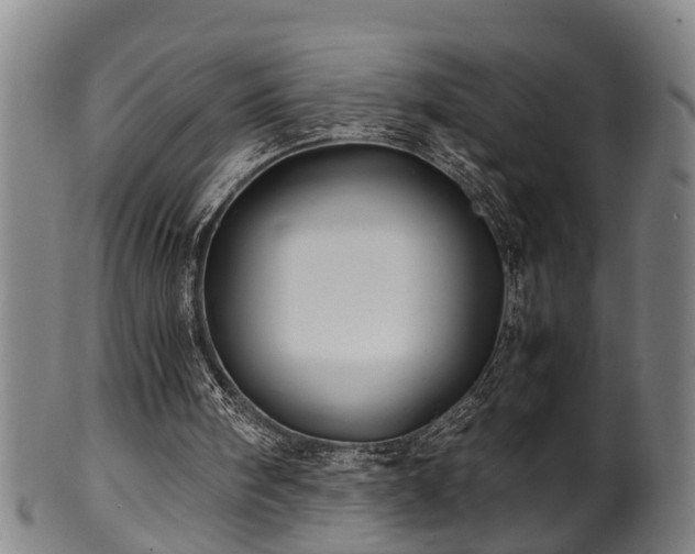 X0000100220098200806061354