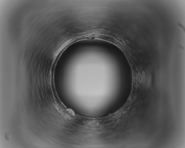 X0000100220100200806061354