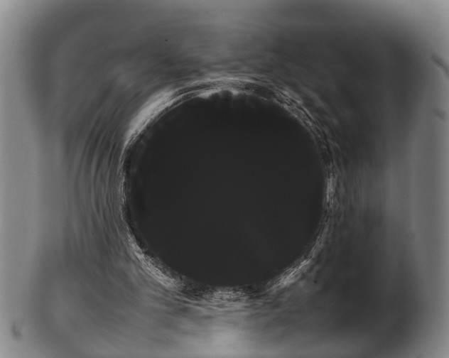 X0000100220101200806061354