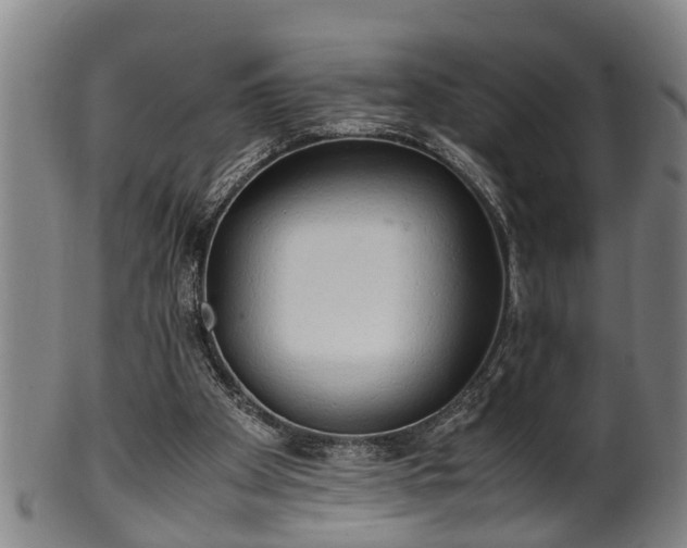 X0000100220105200806061354