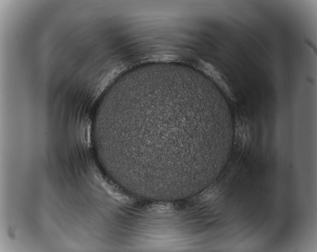 X0000100220110200806061354