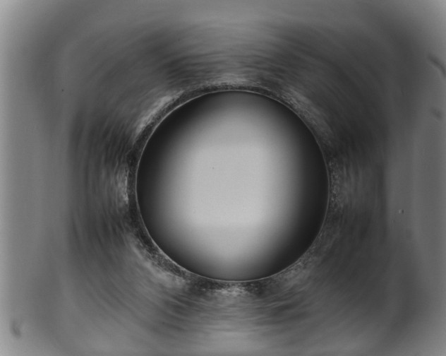 X0000100220112200806061354