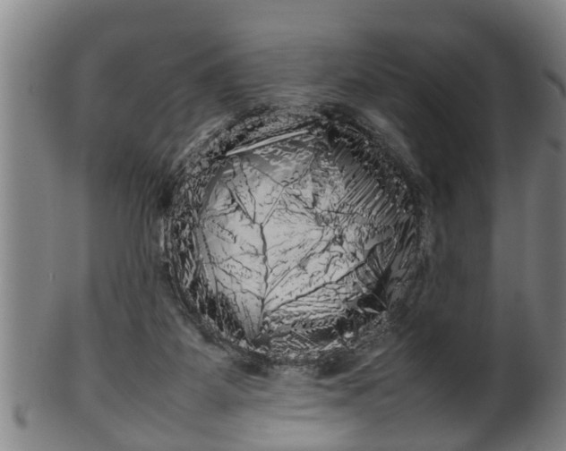 X0000100220115200806061354