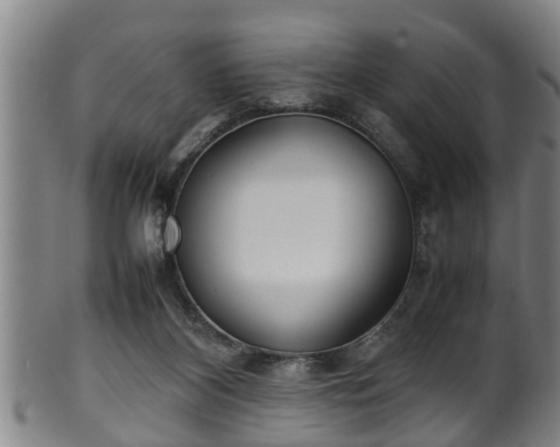 X0000100220116200806061354