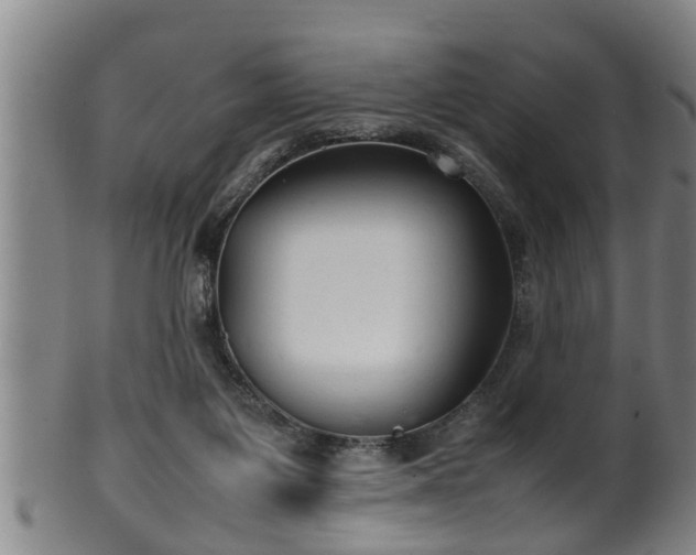 X0000100220119200806061354