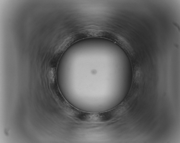 X0000100220121200806061354