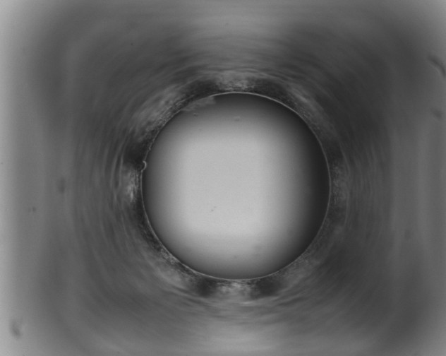 X0000100220125200806061354