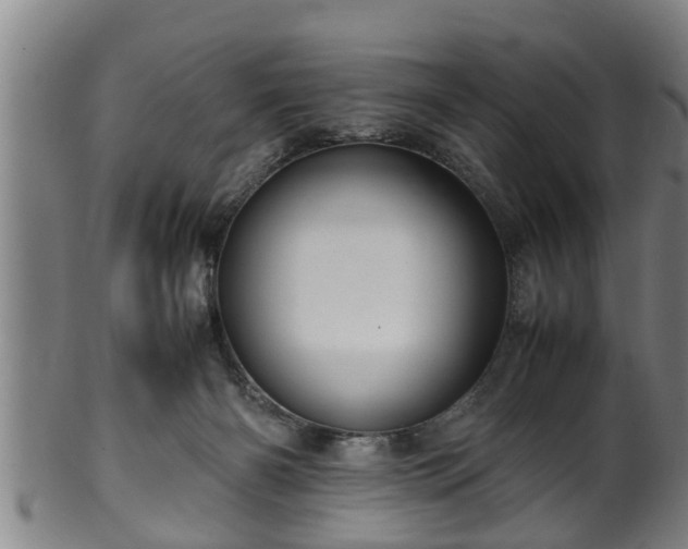 X0000100220126200806061354