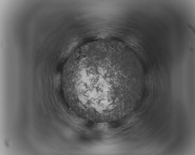 X0000100220127200806061354
