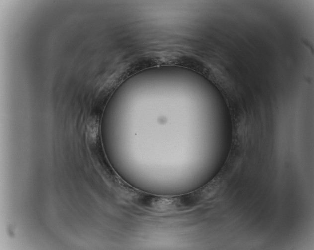 X0000100220129200806061354