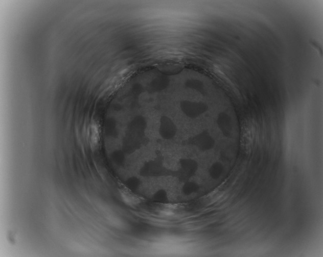 X0000100220130200806061354