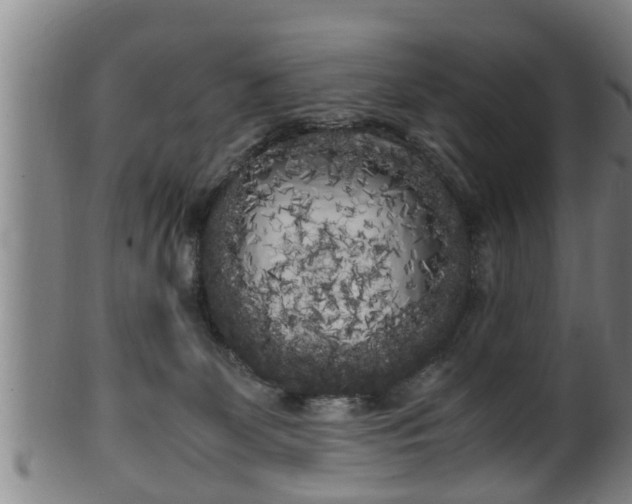 X0000100220131200806061354